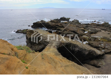 馬の背洞門(城ヶ島公園・三浦市) 馬の背洞門(城ヶ島公園・三浦市) 131907064