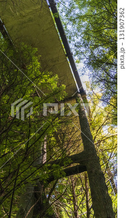 Wooden bridge passage in the woods. 131907362