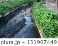 緑の岸、農業用水に映る建物 131907449