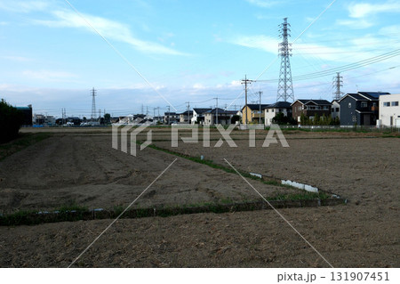 収穫の終わったの畑と家並みと送電線 131907451