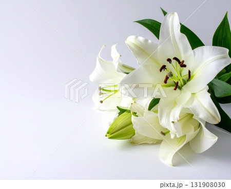 白い背景に置かれた白いユリの花の束 131908030