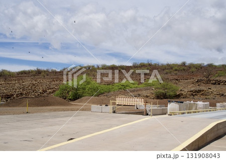 ハワイ島のカワイハエの丘と木々の風景 ハワイ島のカワイハエの丘と木々の風景 131908043