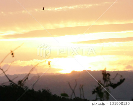 朝焼けの空 131908120