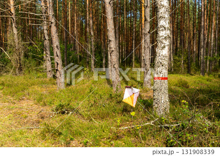 A prism marker and electronic composter at an orienteering control point A prism marker and electronic composter at an orienteering control point 131908339