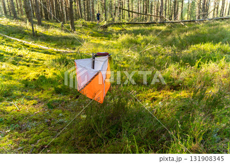 Street orienteering in a sunny pine forest. Street orienteering in a sunny pine forest. 131908345