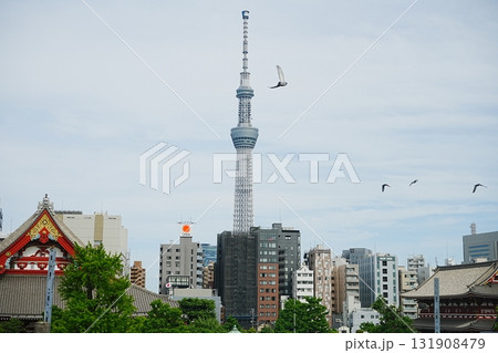 日本 東京都 東京スカイツリーと浅草寺 日本 東京都 東京スカイツリーと浅草寺 131908479