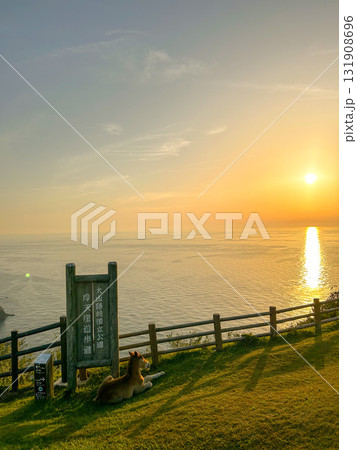 離島　摩天崖　馬と見る海に落ちる夕日 131908696