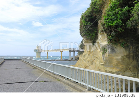 勝浦海中公園の海岸線 131909339