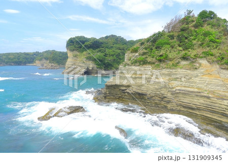 勝浦海中公園の海岸線 131909345