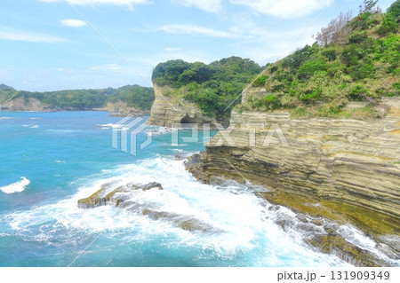 勝浦海中公園の海岸線 131909349