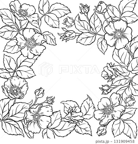 Wild Rose Branch with Flowers Outline Frame. Wild Rose Branch with Flowers Outline Frame. 131909458