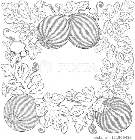Watermelon Plant with Fruits Outline Frame. Watermelon Plant with Fruits Outline Frame. 131909459
