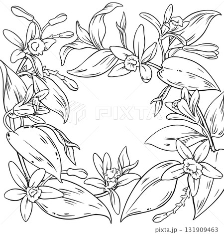 Vanilla Branch with Flowers Outline Frame. 131909463