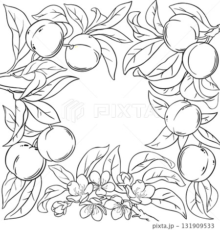 Peach Branch with Fruits Outline Frame. 131909533