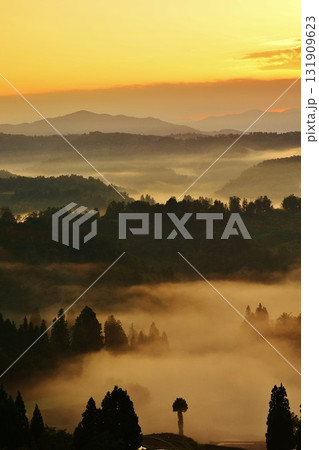 雲海の山古志棚田・棚池朝焼けの夜明け 131909623