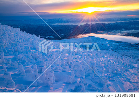 夕日に照らせれる蔵王樹氷 131909681