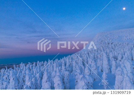 トワイライト蔵王樹氷 131909719