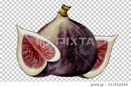Fig watercolor drawing. Fig tree fruit illustration on a white background. Food clip art. Ideal for cosmetics logos and culinary recipes. Fig watercolor drawing. Fig tree fruit illustration on a white background. Food clip art. Ideal for cosmetics logos and culinary recipes. 131910264