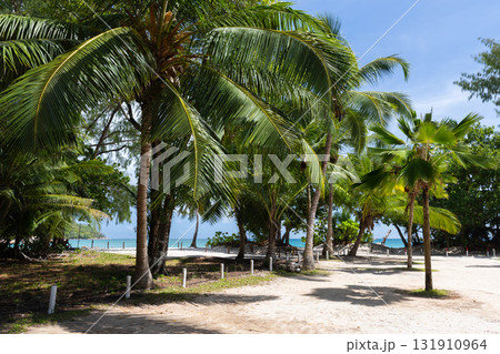 Coastal landscape of Anse Lazio beach on a sunny day. Praslin island, Seychelles Coastal landscape of Anse Lazio beach on a sunny day. Praslin island, Seychelles 131910964