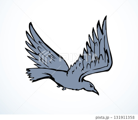Vector drawing. Big flying bird 131911358