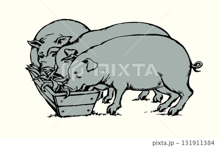 Vector drawing. Pigs eating rhe food 131911384
