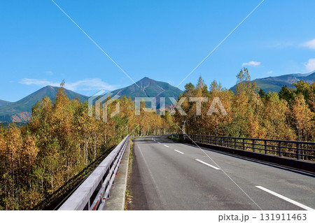 秋晴れをバックに紅葉が始まる「10月初旬」の十勝岳山麓 131911463