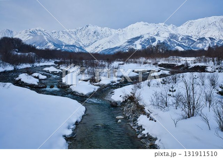 早春の白馬 131911510