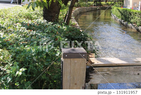 京都の中心部を流れる高瀬川の清き流れ 131911957