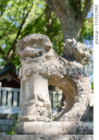 大麻比古神社の狛犬 131911968