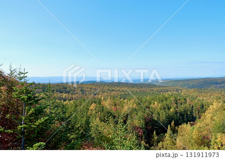 紅葉が始まった秋晴れの十勝岳山麓より旭川方面を望む「10月上旬」 131911973