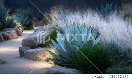 Bright LED lights enhance agave and ornamental grasses in a sustainable xeriscape garden for dry climates 131912185
