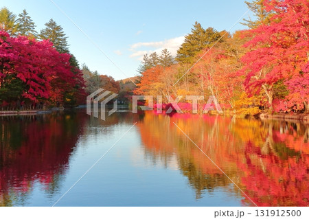 雲場池の紅葉　 131912500