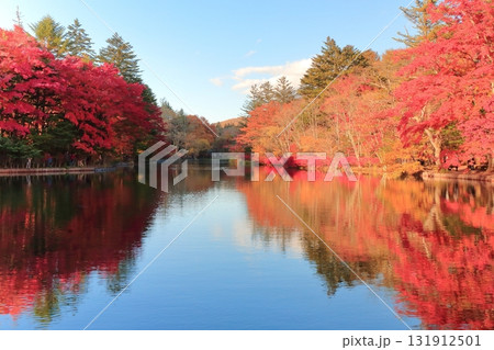 雲場池の紅葉　 131912501