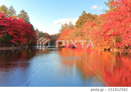 雲場池の紅葉　 131912502