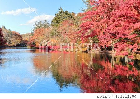 雲場池の紅葉　 131912504