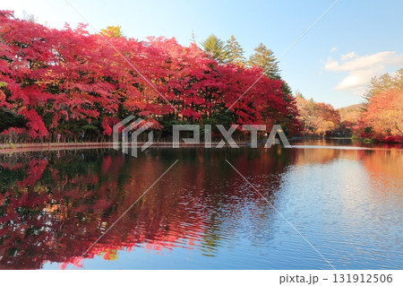 雲場池の紅葉　 131912506