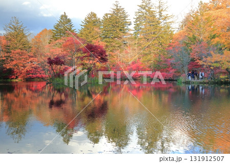 雲場池の紅葉　 131912507