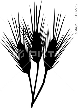 麦のシルエット 131912757