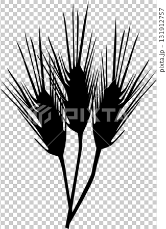 麦のシルエット 131912757