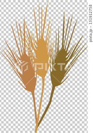 Wheat silhouette wheat color Wheat silhouette wheat color 131912758