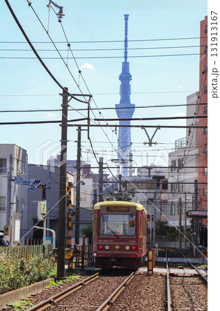 スカイツリーと都電荒川線 スカイツリーと都電荒川線 131913167