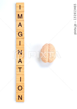 Imagination Concept with Brain and Wooden Letter Tiles on White Background 131913465