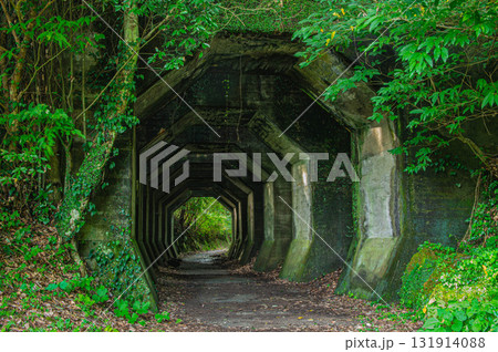 熊延鉄道跡「八角トンネル」 131914088