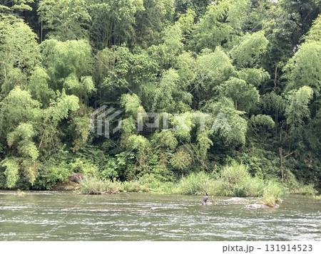 長瀞の自然 131914523