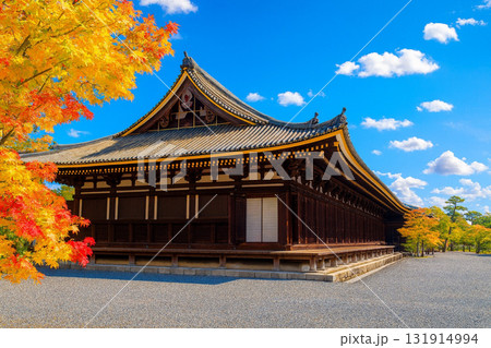 三十三間堂　紅葉 131914994