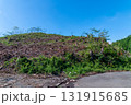 伐採されたはげ山 131915685