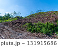 伐採されたはげ山 131915686