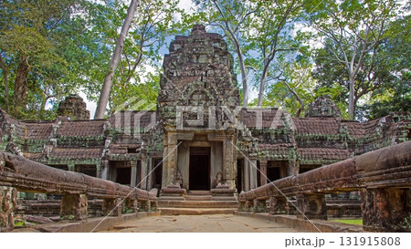 Ancient temple ruins with trees Angkor Wat Cambodia Ancient temple ruins with trees Angkor Wat Cambodia 131915808