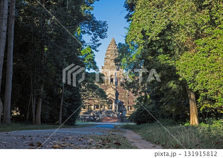 Ancient temple ruins with trees Angkor Wat Cambodia Ancient temple ruins with trees Angkor Wat Cambodia 131915812