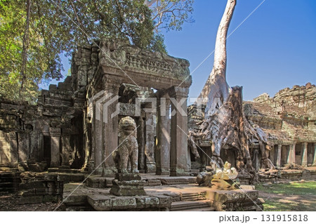 Ancient temple ruins with trees Angkor Wat Cambodia Ancient temple ruins with trees Angkor Wat Cambodia 131915818